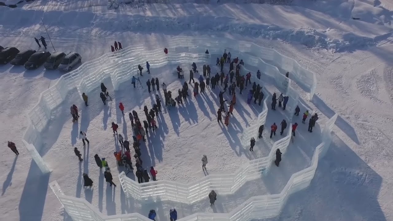 Tra sach sau 55 nam anh 4