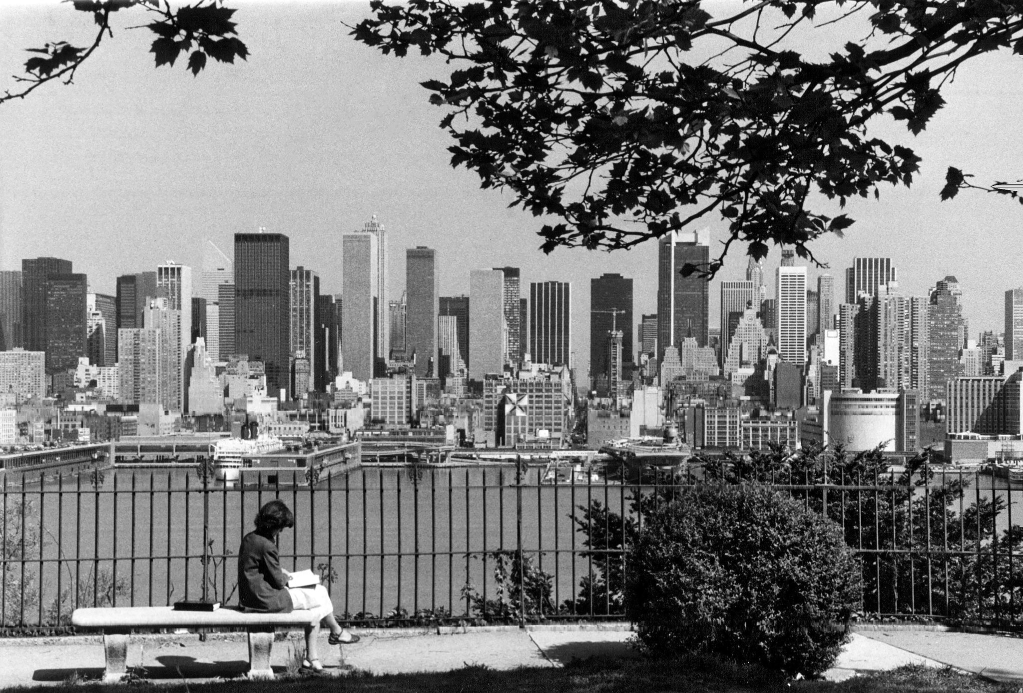 doc sach trong cong vien anh 3