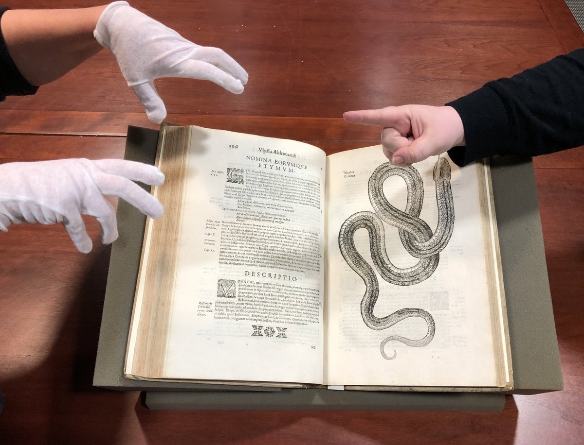 Cach doc va giu gin nhung cuon sach quy hiem hinh anh