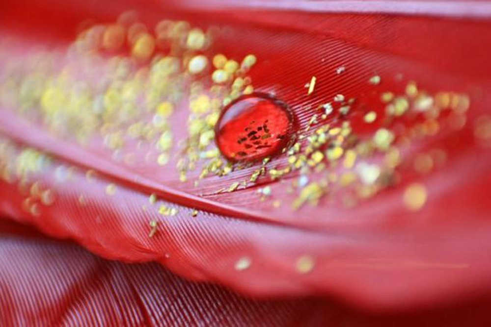 nhom mau quy hiem nhat the gioi anh 2