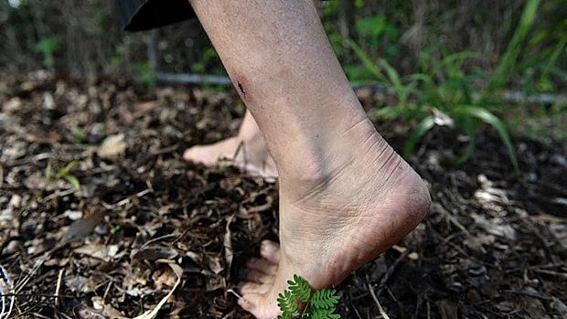 vi khuan an thit nguoi anh 4