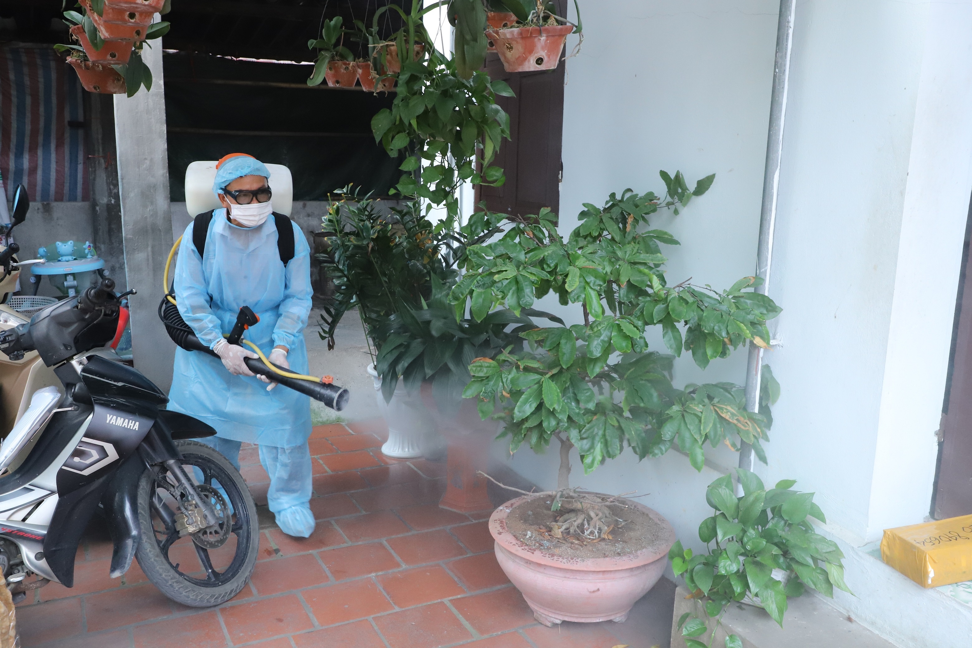 Sốt xuất huyết ảnh 1 Sot xuat huyet anh 1