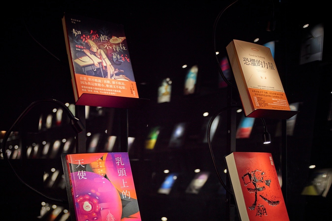 Hieu sach trong bong toi tai Dai Loan hinh anh