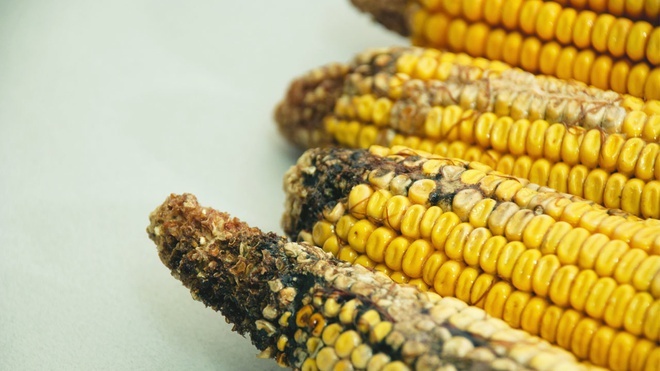 Dau hieu canh bao ung thu gan anh 7