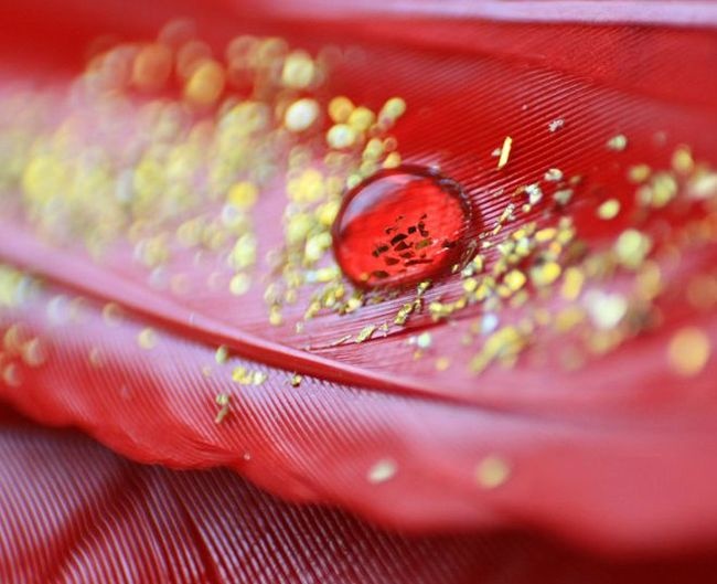 Nhom mau quy nhu vang, 4 trieu nguoi co mot hinh anh