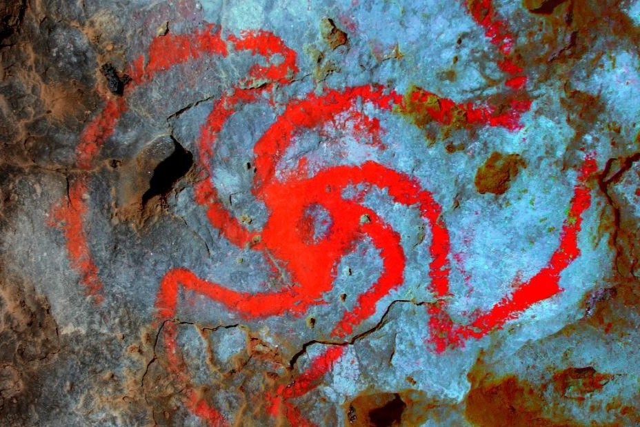 Dau tich cua cay chua chat gay ao giac trong hang dong co o My hinh anh