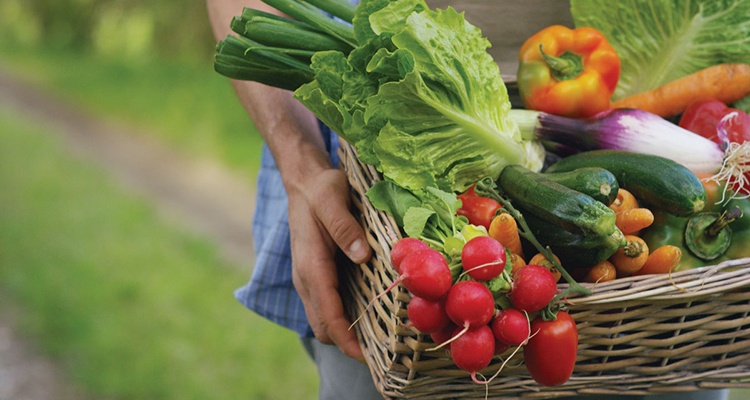 Thuc pham lam tang nguy co day thi som anh 2