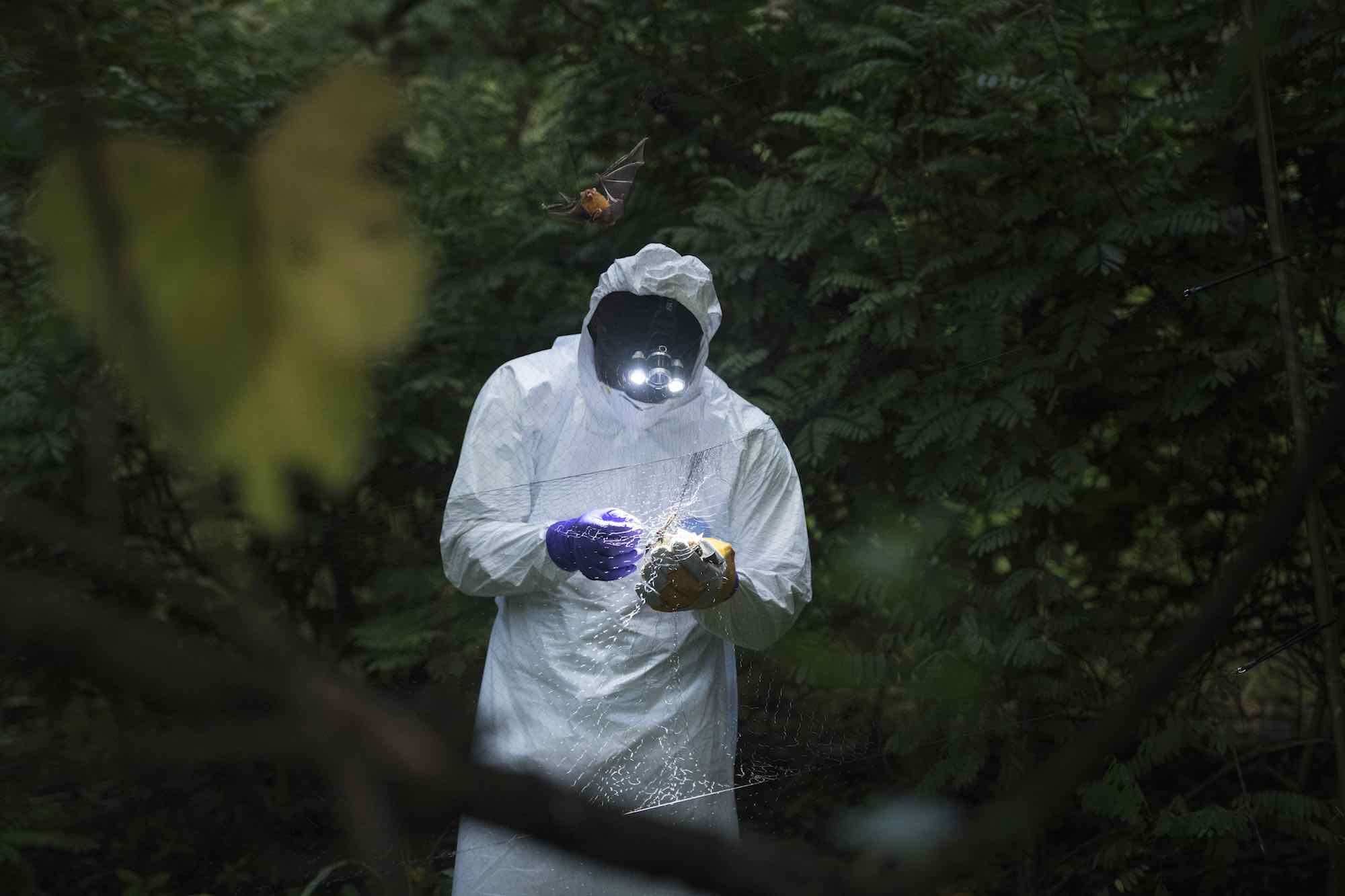 benh X bi an tai Congo anh 2