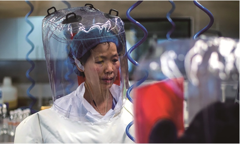 nguồn gốc của virus ảnh 1 nguon goc cua virus anh 1