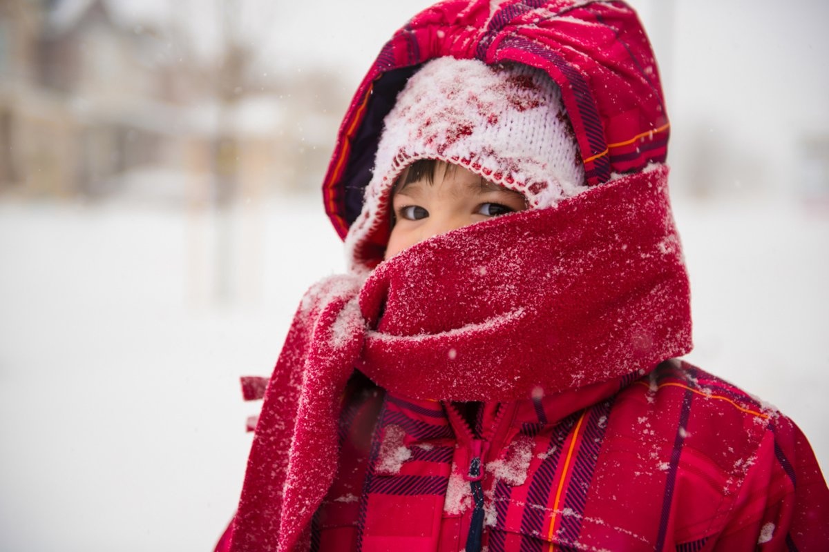 dot quy vao mua ret anh 2