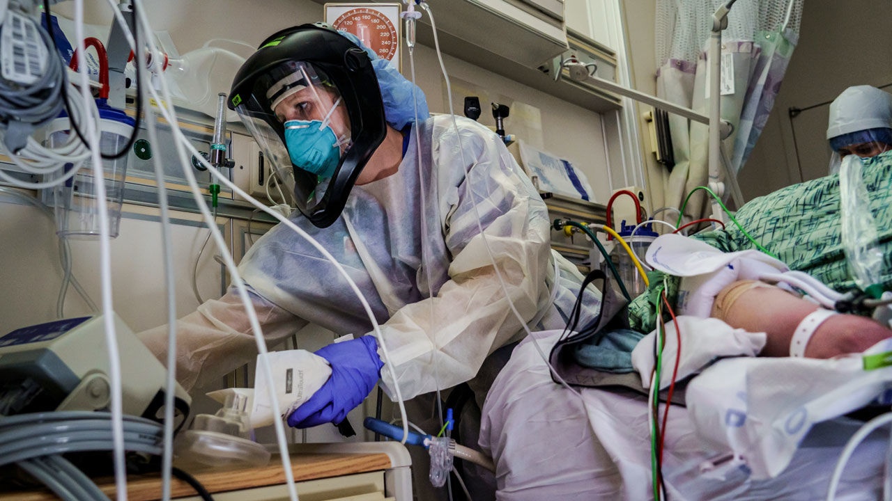 virus chua tung biet den sap xuat hien anh 1