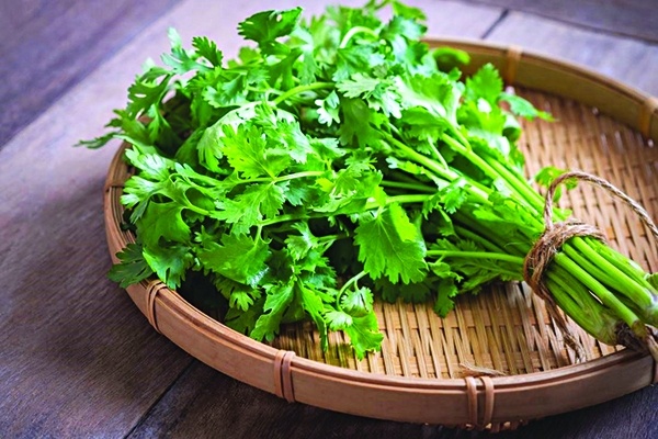 Ai không được tắm lá mùi? ảnh 2 Ai khong duoc tam la mui? anh 2