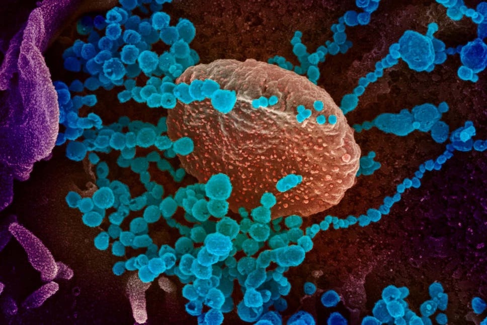 bien chung nCoV moi anh 2