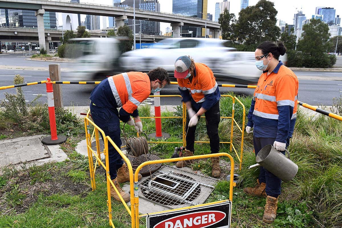 Phat hien hai bien chung SARS-CoV-2 trong nuoc thai o California hinh anh