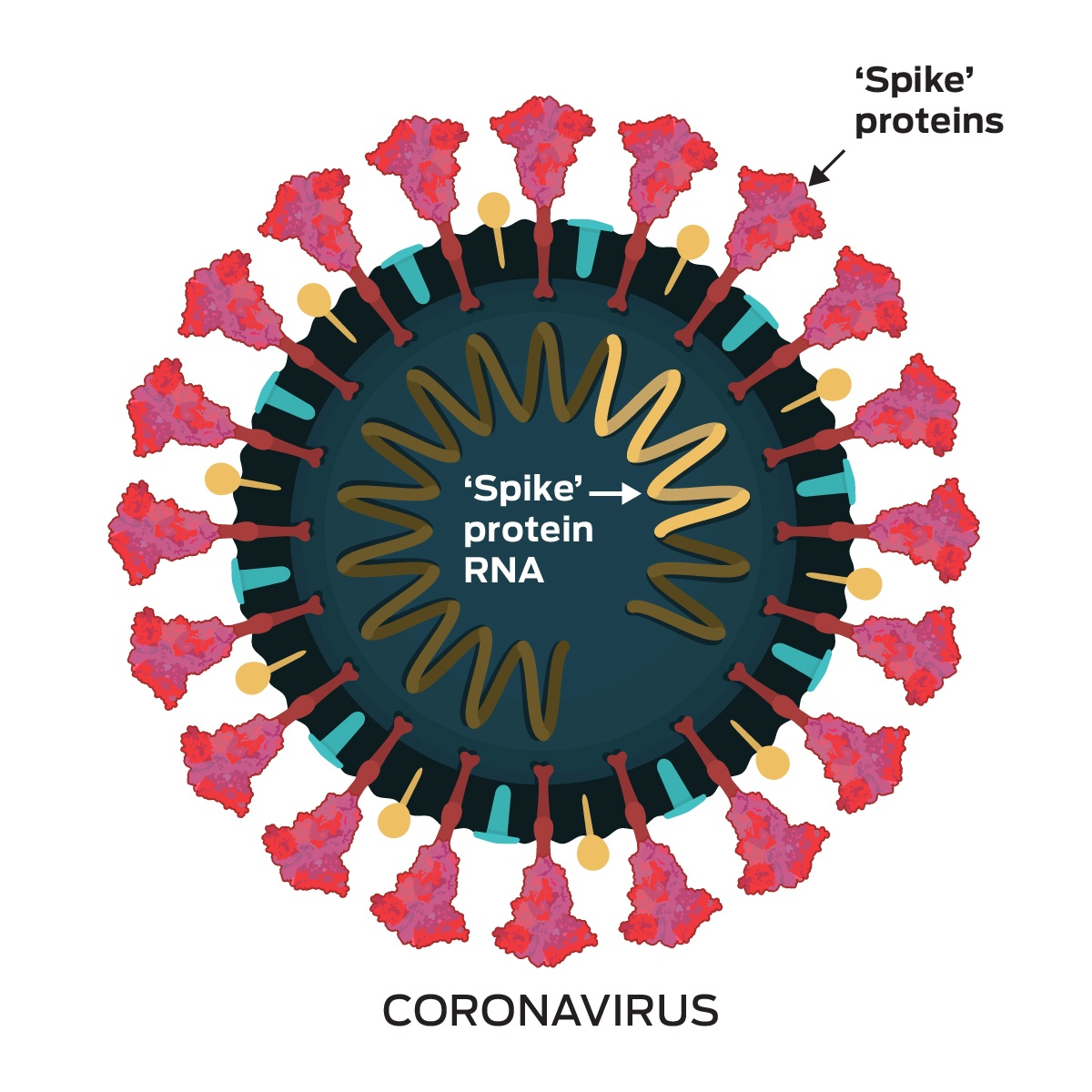 Bien chung 20C anh 2