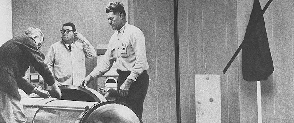 dong bang co the cho hoi sinh anh 1