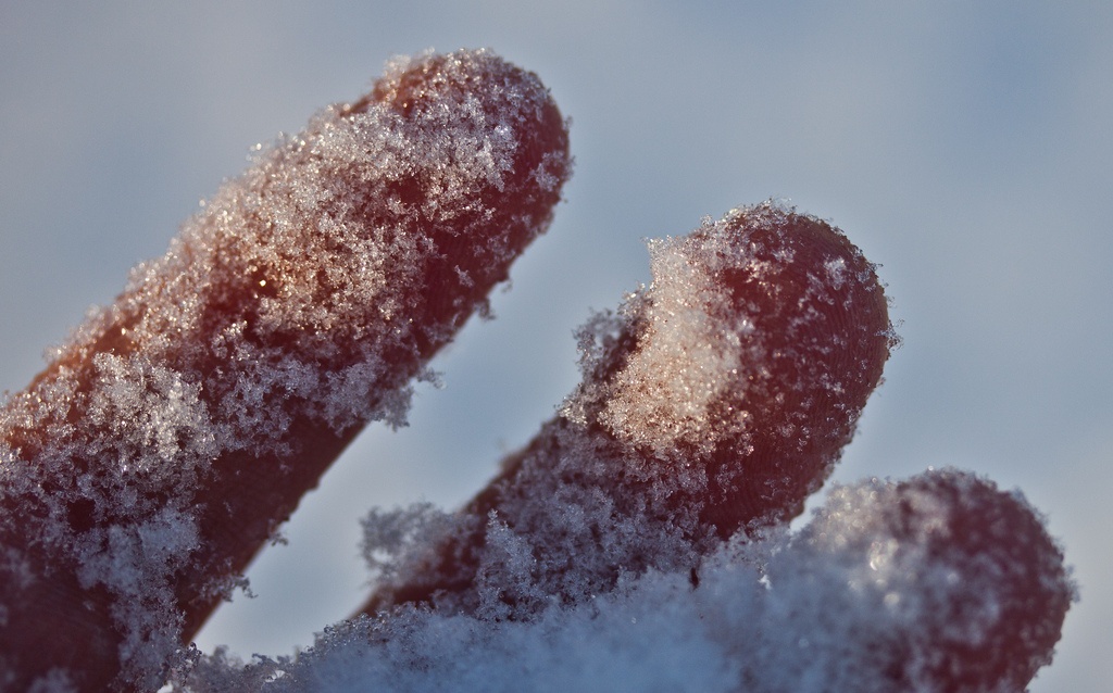 Nguoi dan ong dong bang co the cho hoi sinh nhung khong thanh hinh anh