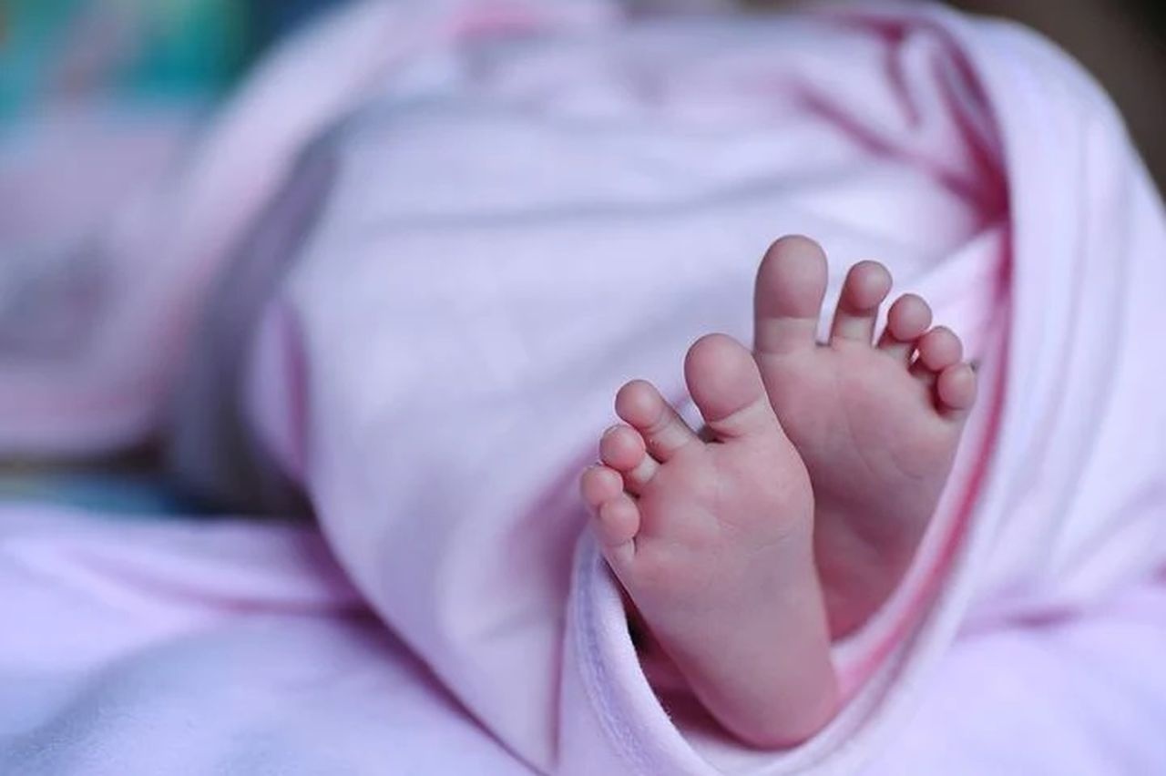 em bé chào đời có kháng thể Covid-19 ảnh 1 em be chao doi co khang the Covid-19 anh 1