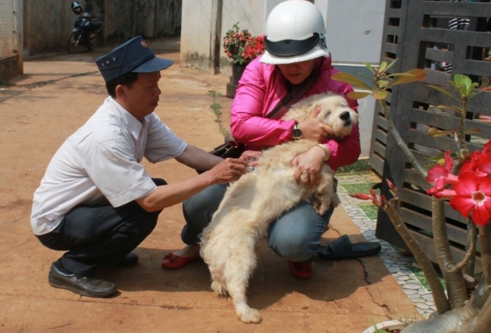 Dak Lak ghi nhan mot nguoi tu vong do benh dai hinh anh