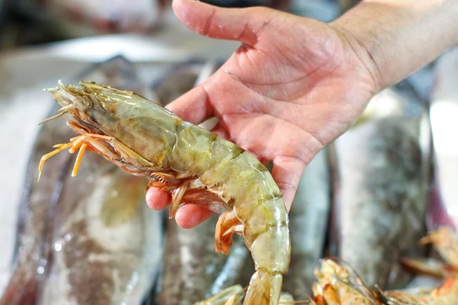 sai lam khi an tom anh 1