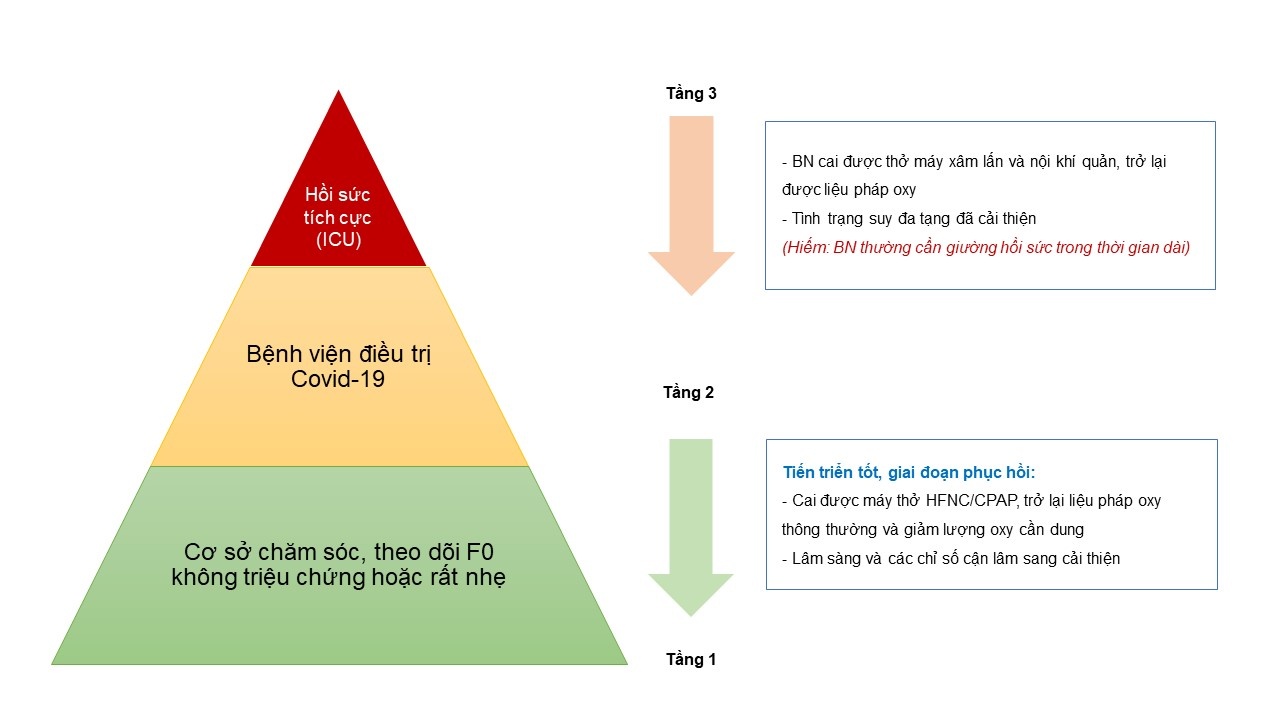 dieu tri benh nhan Covid-19 tai Viet Nam anh 4