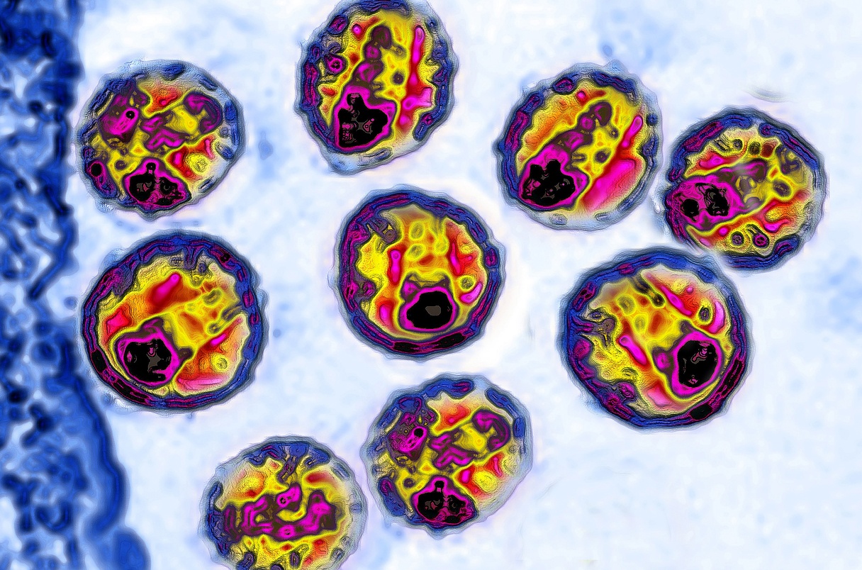 Thu nghiem vaccine HIV anh 2