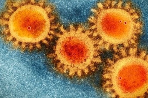 Ba bien chung nCoV moi duoc phat hien nguy hiem the nao? hinh anh