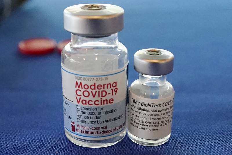 Them du lieu ve hieu qua cua vaccine Pfizer, Moderna hinh anh