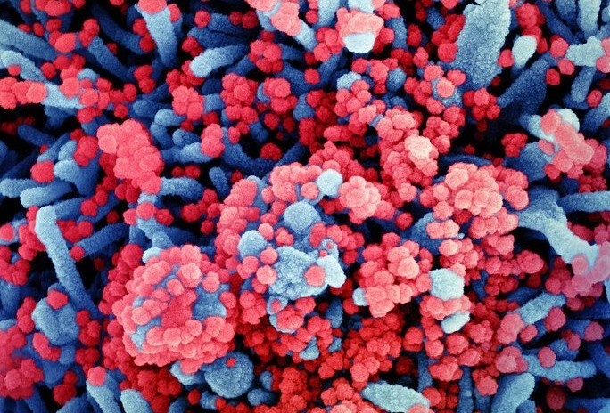 du doan som F0 de tu vong anh 2