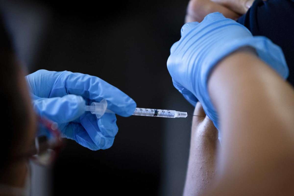 Hieu ung gia duoc anh 2