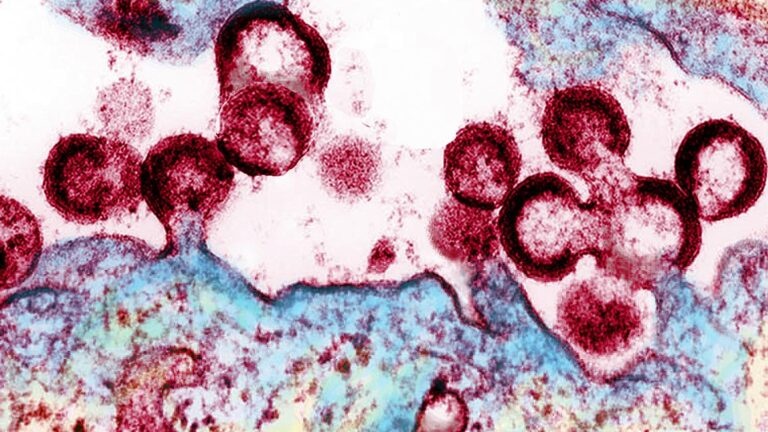 thuốc chữa HIV ảnh 2 thuoc chua HIV anh 2