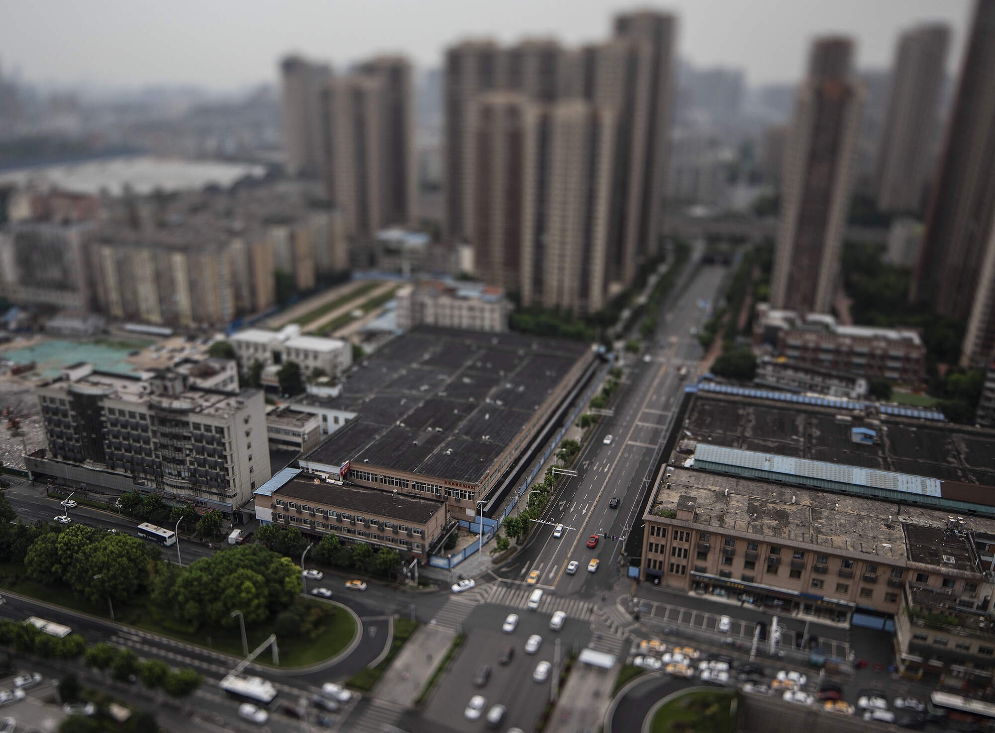 nguon goc cua Covid-19 anh 1