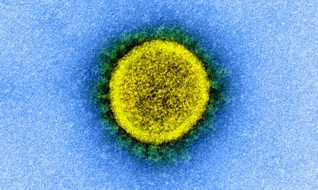 Su nguy hiem cua bien chung Covid-19 moi xuat hien o nhieu nuoc hinh anh