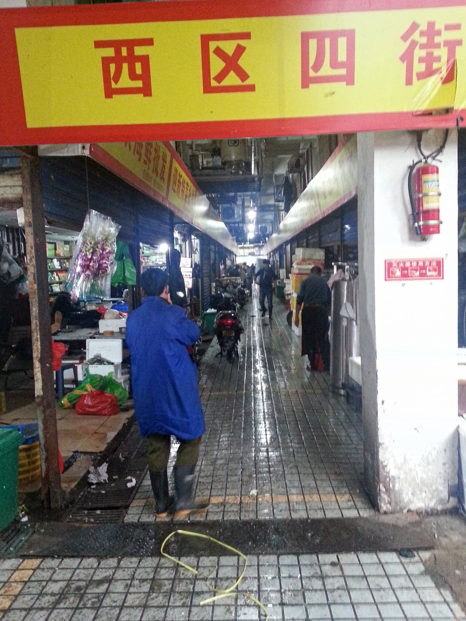 nguồn gốc của Covid-19 ảnh 2 nguon goc cua Covid-19 anh 2