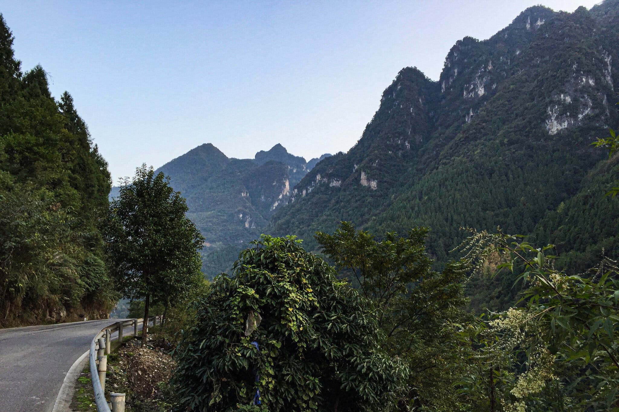 nguon goc cua Covid-19 anh 4