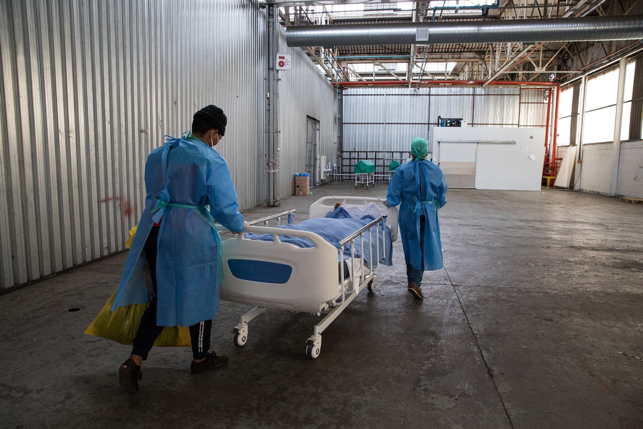 noi khong co nguoi tu vong vi Covid-19 anh 3