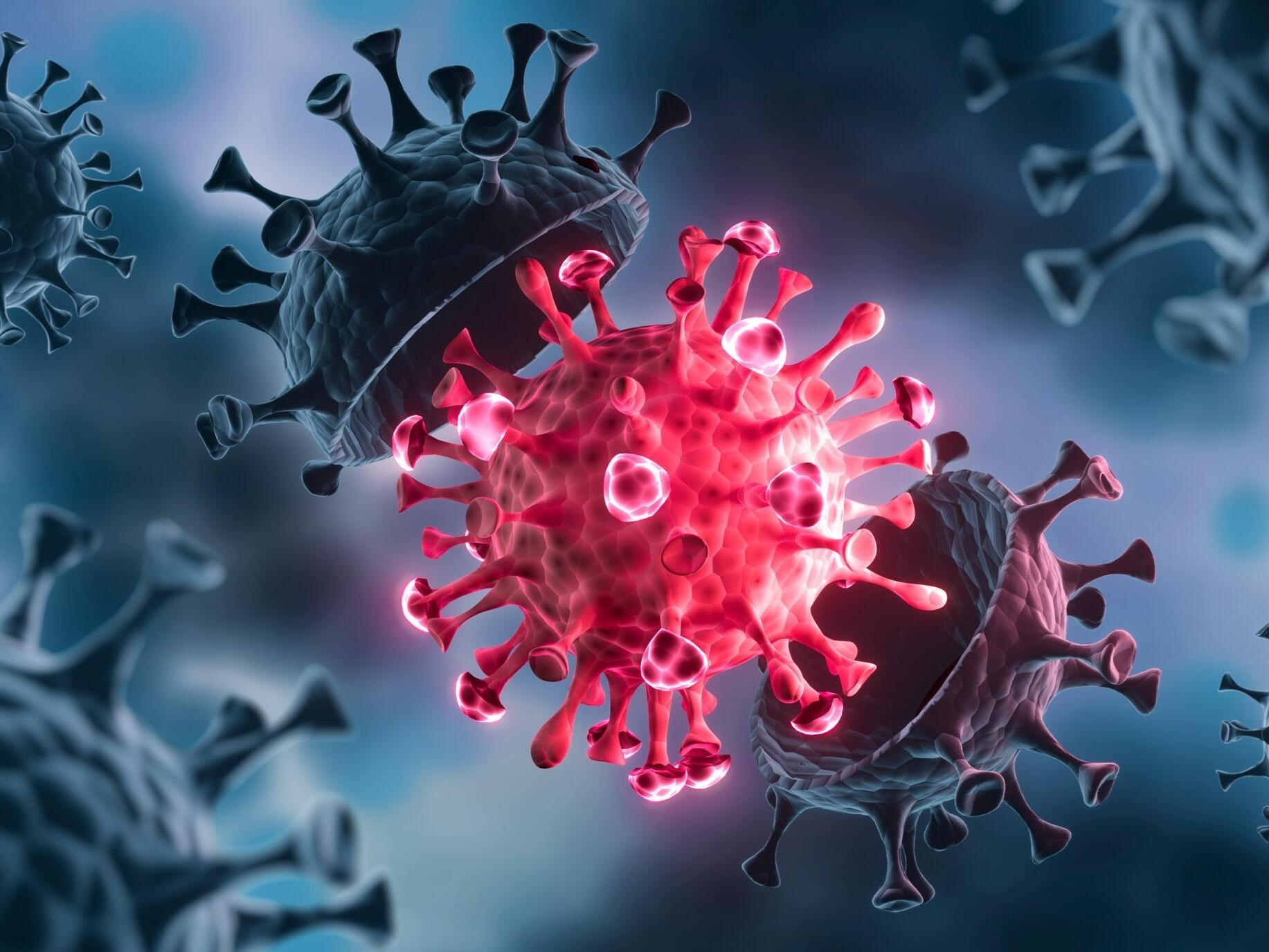 Phat hien bien chung nCoV moi hinh anh