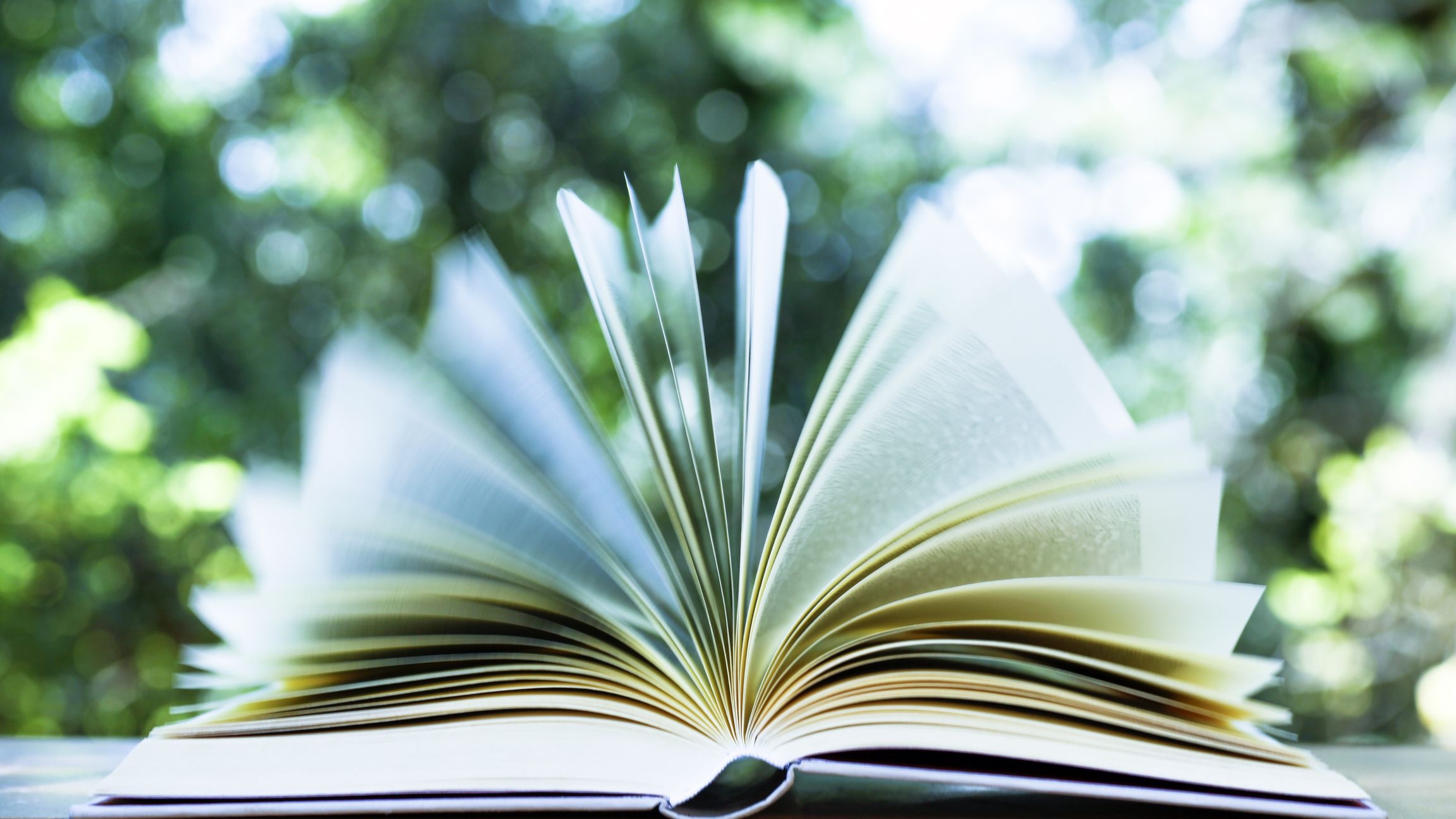 Tac pham doc dao anh 6