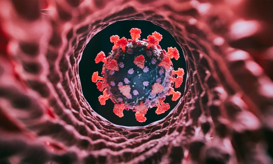 Bien chung moi lay lan manh tai My hinh anh