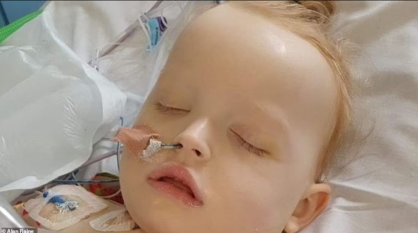 viem gan bi an anh 2