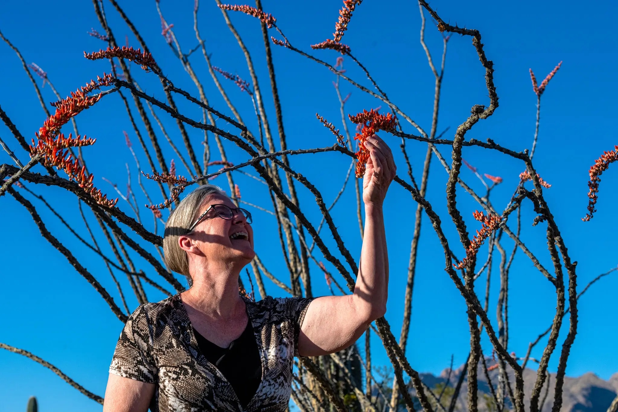 noc doc cuu mang nguoi anh 3