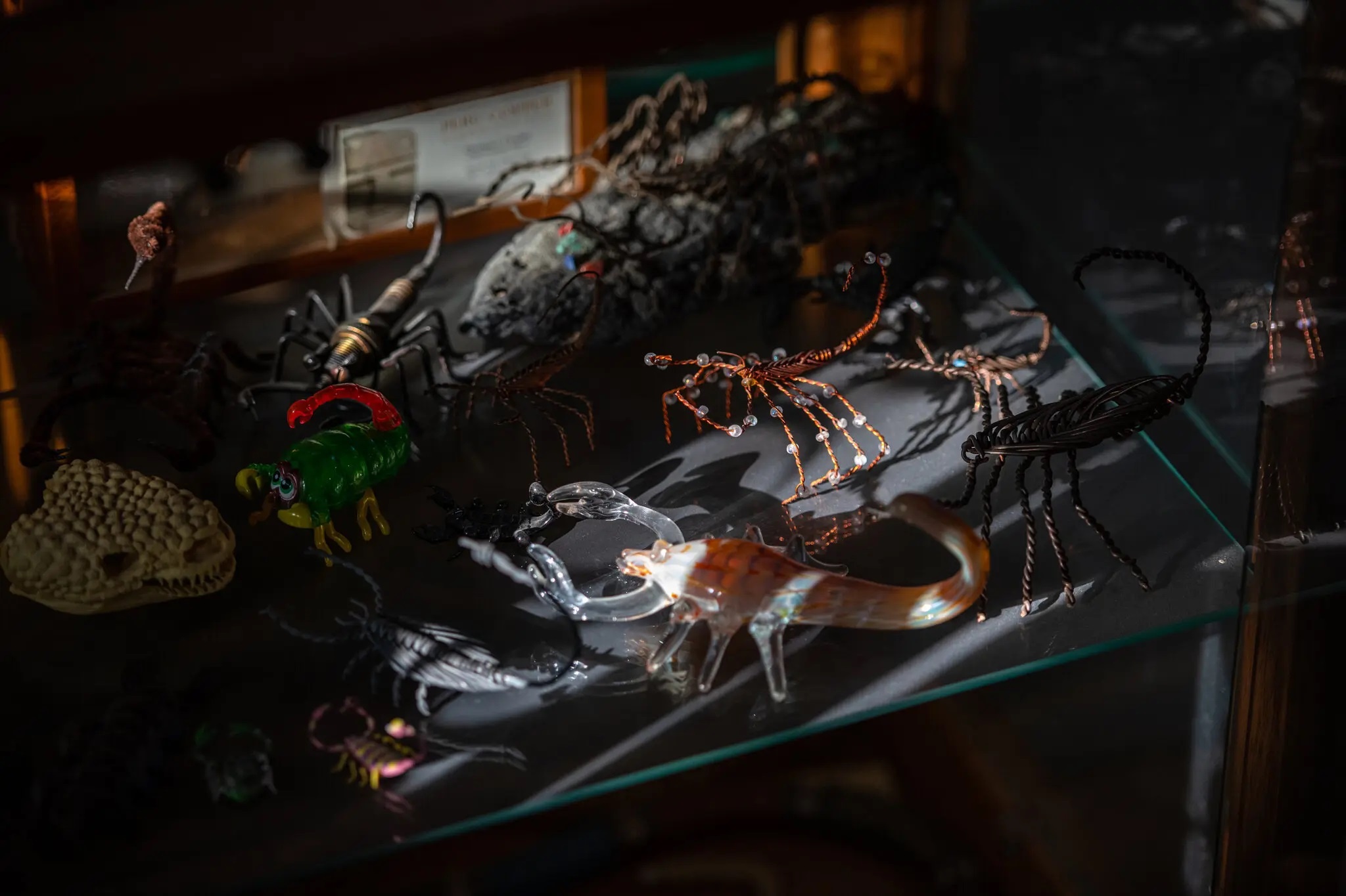 noc doc cuu mang nguoi anh 6