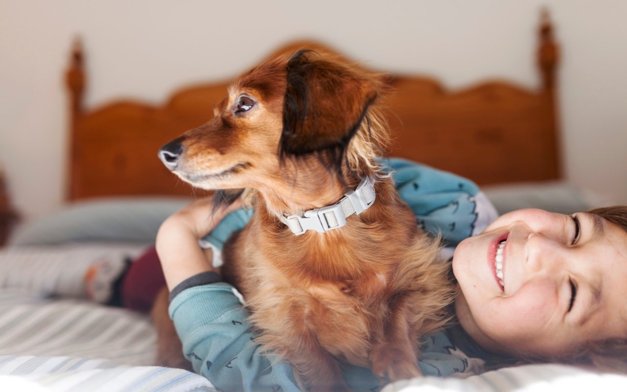 Phat hien moi ve nguyen nhan gay viem gan bi an hinh anh