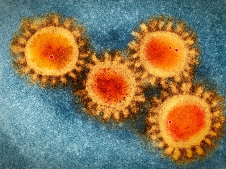 Nguyen nhan gay viem gan bi an anh 2