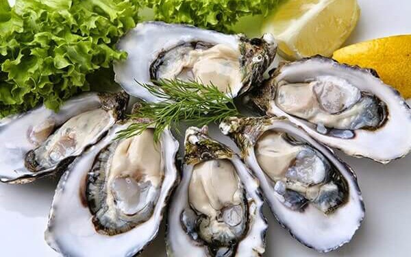 Vi khuan an thit nguoi anh 4