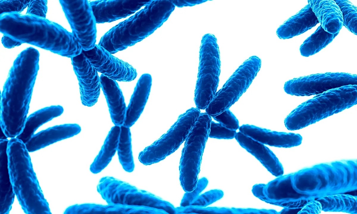 Su nguy hiem cua hoi chung 'sieu nam' nhieu dan ong mac hinh anh