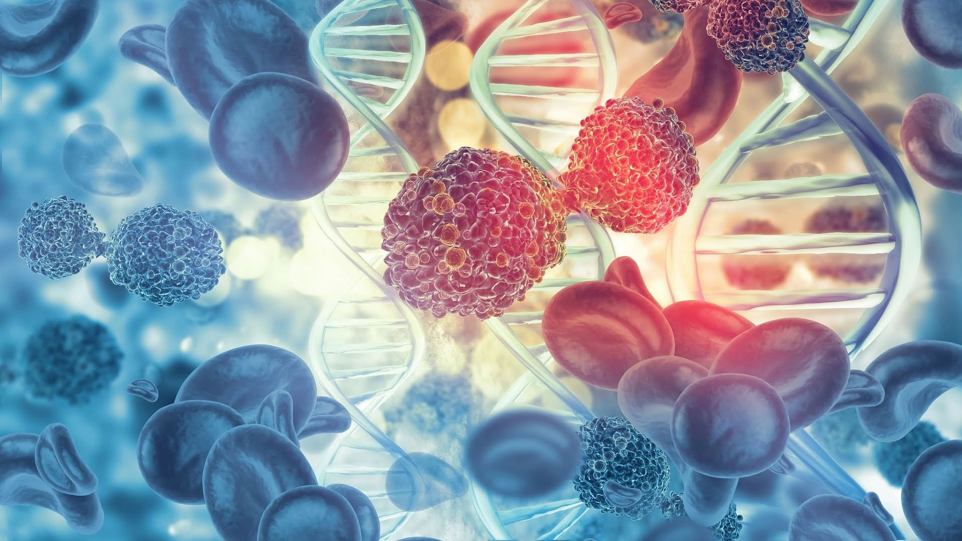 Co che hoat dong cua thuoc dau tien chua khoi ung thu hinh anh