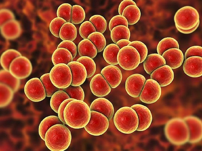 Nguoi dan ong o Ao mac benh ‘sieu lau’ sau tinh mot dem hinh anh