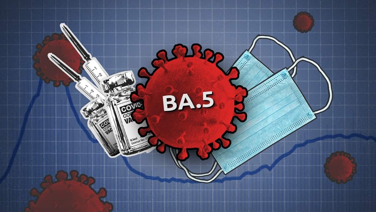 Su nguy hiem cua bien chung BA.5 Omicron vua xuat hien tai Viet Nam hinh anh