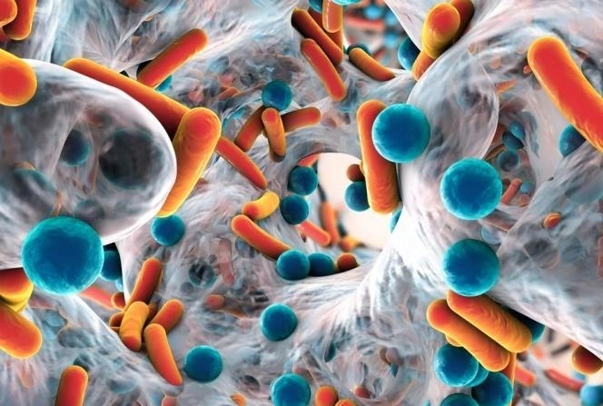 Tinh trang gay chet nguoi nhieu hon ca HIV/AIDS hinh anh